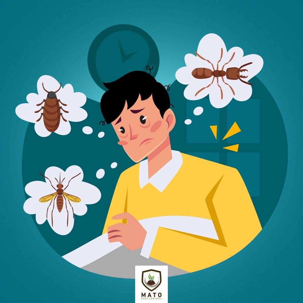 الأضرار الصحية للصراصير