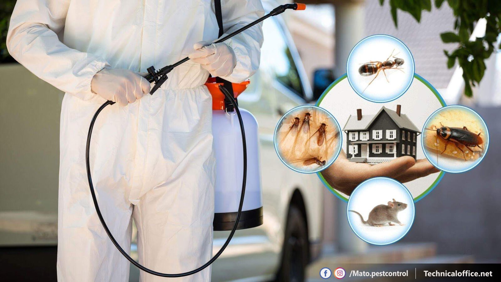 طرق التخلص من الناموس