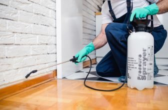 اسباب انتشار الهاموش في المنزل