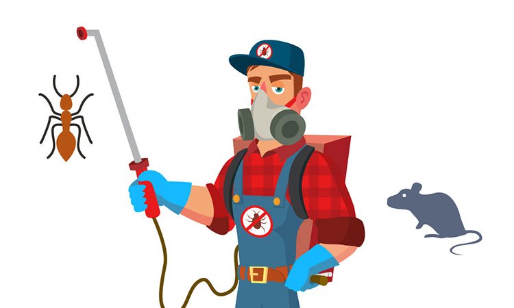 الطريقة الامثل لمكافحة الحشرات بمصانع الاغذية