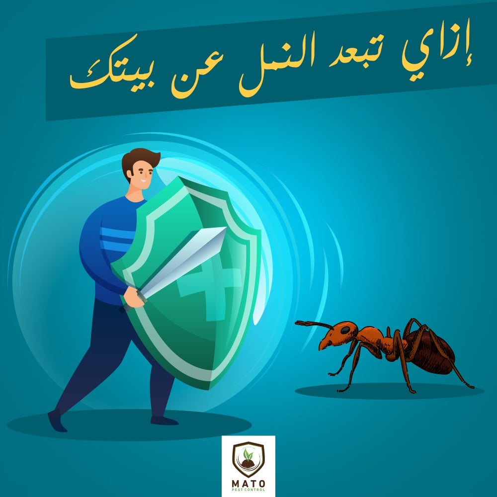 القضاء علي مستعمرات النمل