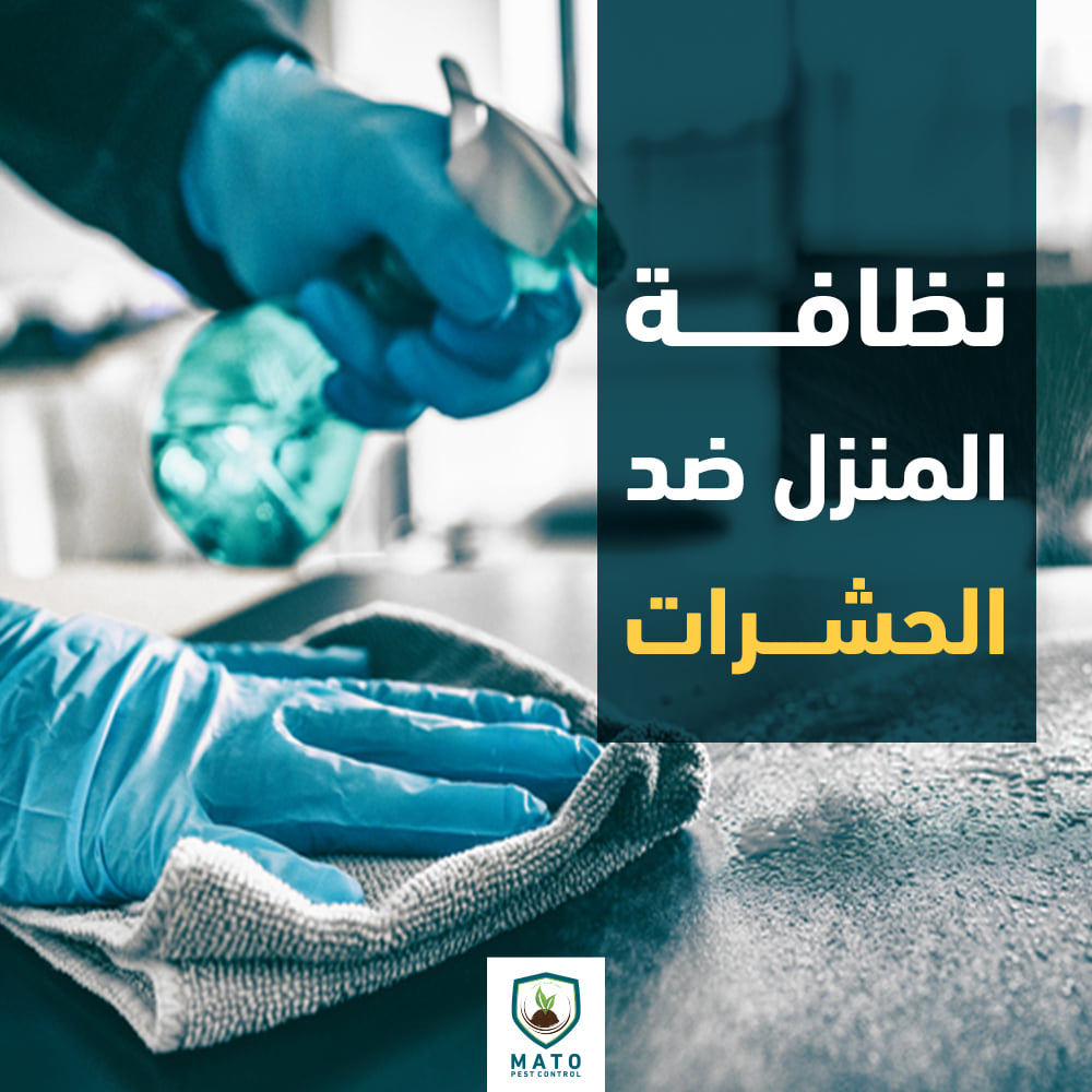 مكافحة البق المنزلي