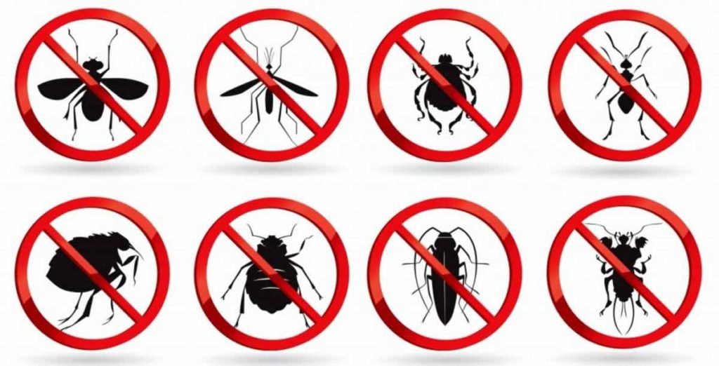 أفضل طرق الوقاية من الحشرات