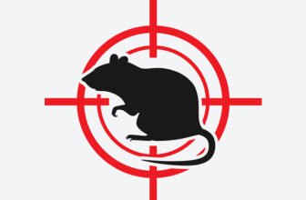 كيفية مكافحة الفئران و افضل طرق ابادة الفئران من 01222418431Mato pest control