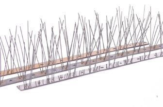 أفضل شركة طرد الحمام في مصر فنادق قري سياحية