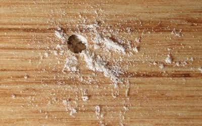 طرق علاج سوس الخشب