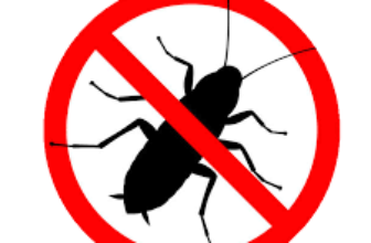 شركة إبادة الصراصير بالقاهرة والجيزة 01222418431