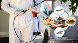 طرق التخلص من الناموس